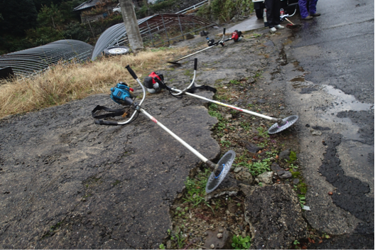 f:id:shimamukwansei:20160219205819p:image:w640