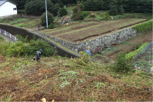 f:id:shimamukwansei:20160219205820p:image:w640