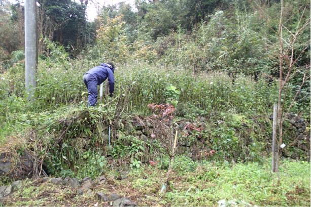 f:id:shimamukwansei:20160219205821p:image:w640