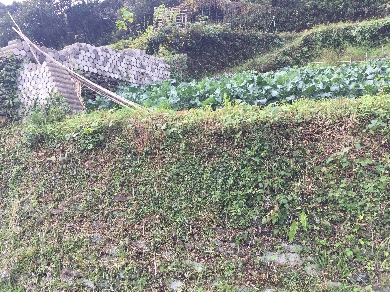 f:id:shimamukwansei:20171230175817j:image f:id:shimamukwansei:20171230175817j:image