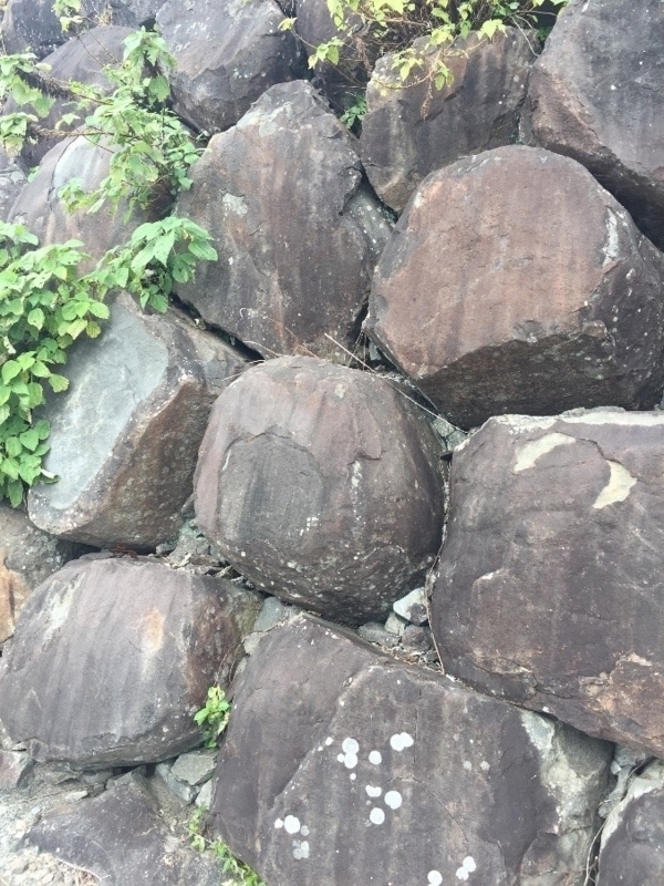 f:id:shimamukwansei:20171230181705j:image f:id:shimamukwansei:20171230181705j:image