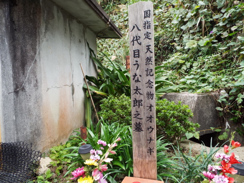 f:id:shimamukwansei:20180110182810j:image