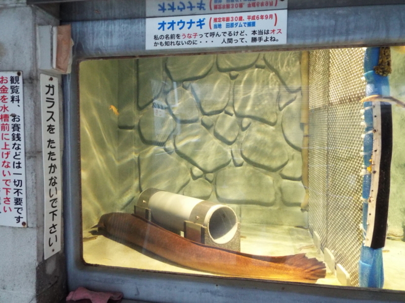 f:id:shimamukwansei:20180110192155j:image