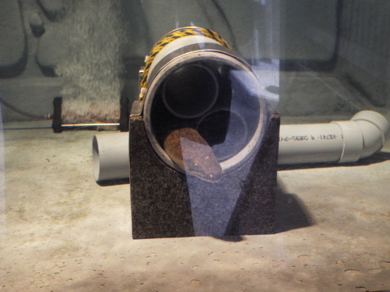 f:id:shimamukwansei:20180110192209j:image