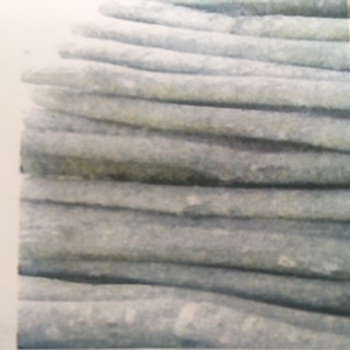 f:id:shimamukwansei:20180307110636j:image:w640