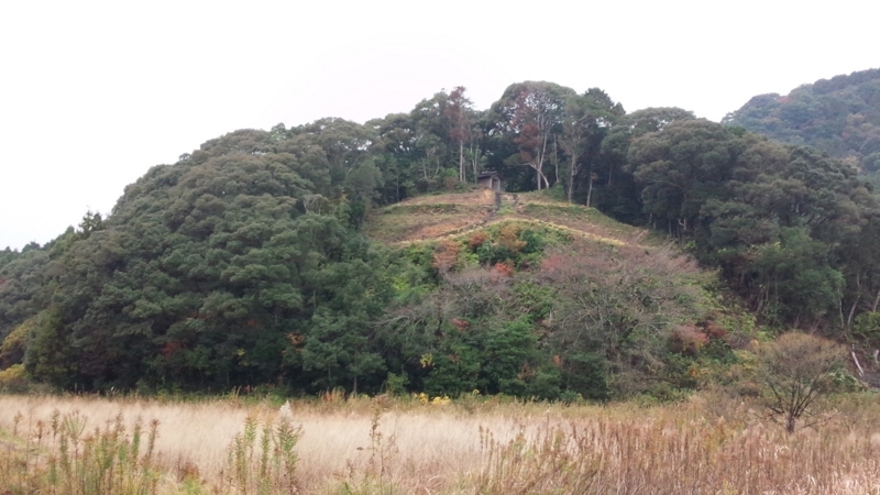 f:id:shimamukwansei:20180402225152j:image:left