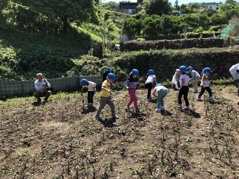 f:id:shimamukwansei:20180904225745j:image:left f:id:shimamukwansei:20180904225745j:image:left