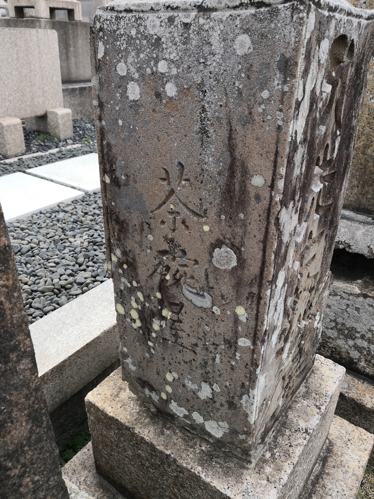 f:id:shimamukwansei:20190115200532j:plain