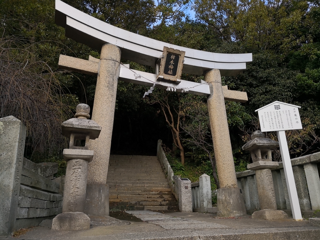 f:id:shimamukwansei:20190115200717j:plain