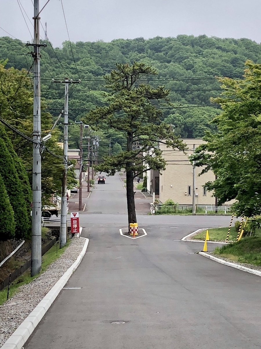 f:id:shimamukwansei:20191014133042j:plain f:id:shimamukwansei:20191014133042j:plain