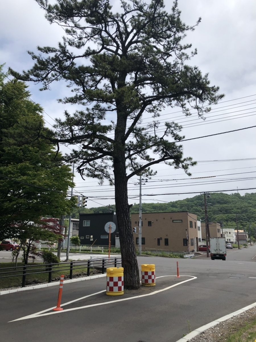 f:id:shimamukwansei:20191014133303j:plain f:id:shimamukwansei:20191014133303j:plain