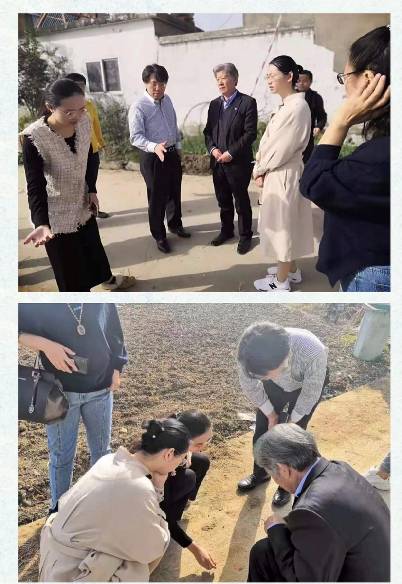 f:id:shimamukwansei:20191102141803j:plain f:id:shimamukwansei:20191102141803j:plain