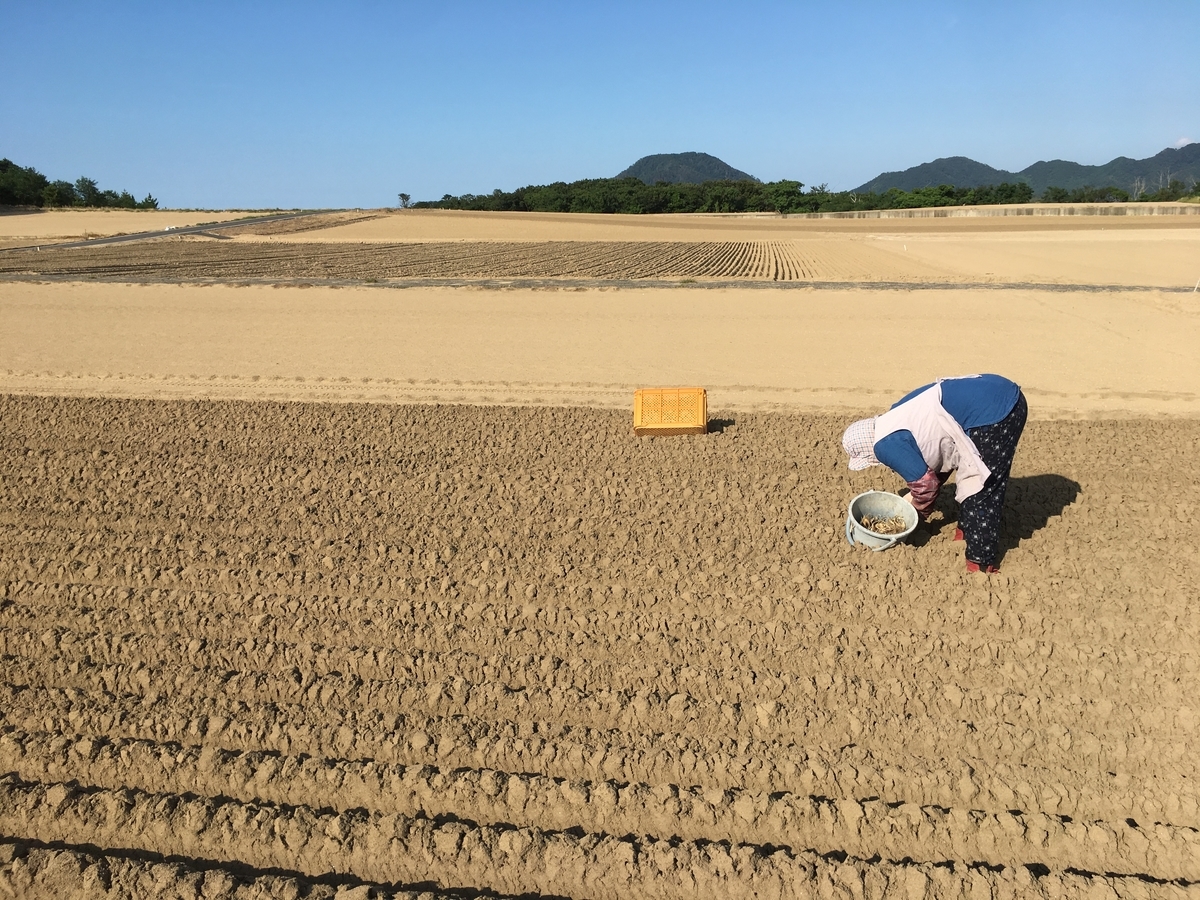 f:id:shimamukwansei:20200111015142j:plain f:id:shimamukwansei:20200111015142j:plain