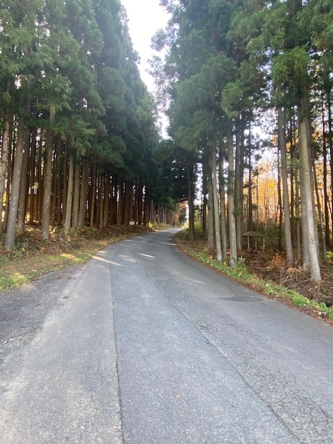 f:id:shimamukwansei:20220110122528j:plain