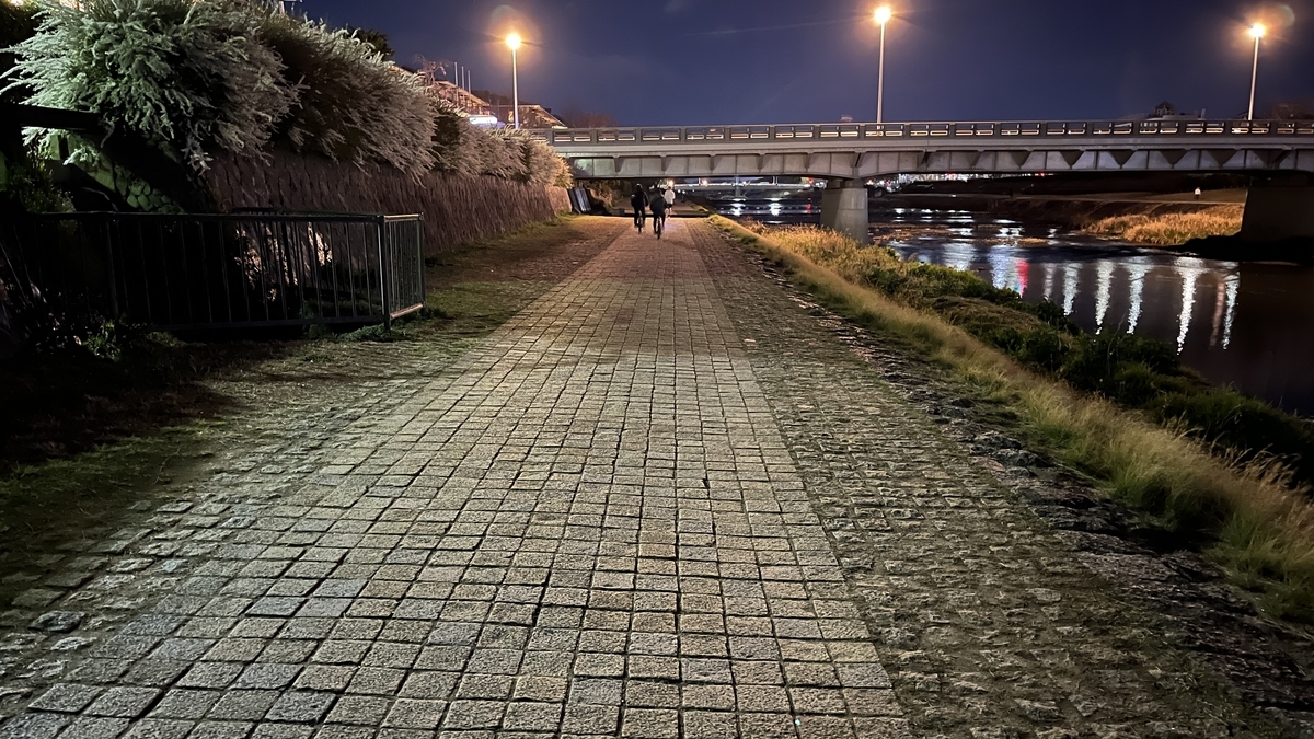 鴨川の歩道。自転車には気を付けて