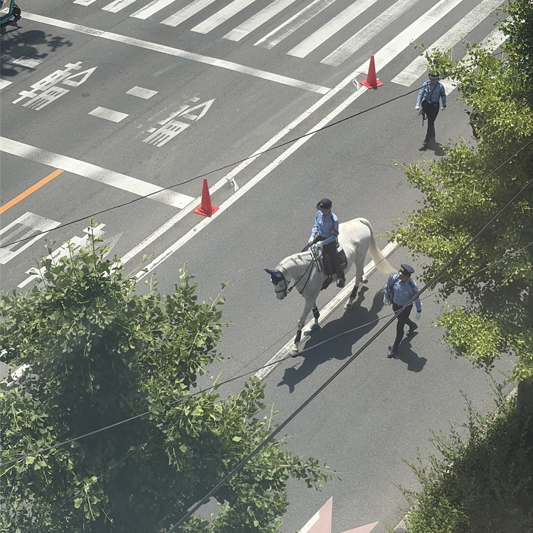 葵祭の先頭を白馬で進む婦警さん(ガラス越しの撮影)
