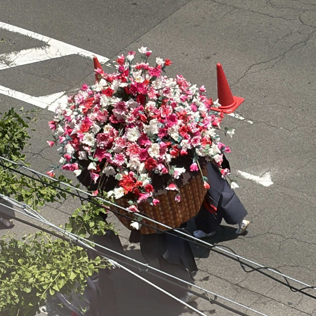 紅白の大きな花傘を4人でかつぐ様子