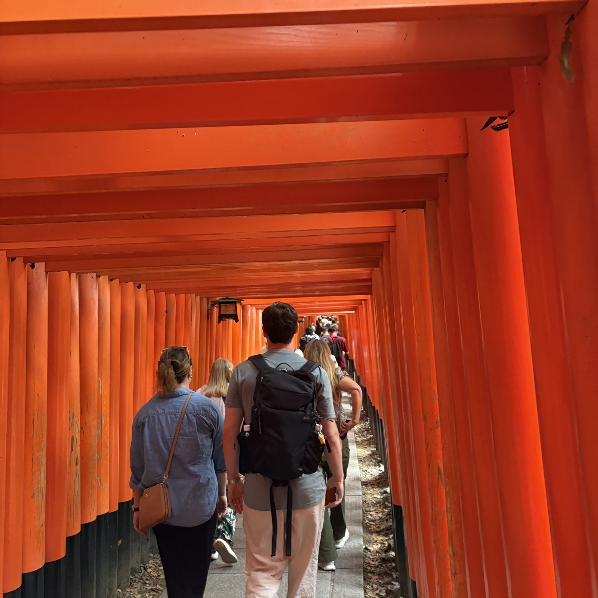 千本鳥居の中の混雑した通路