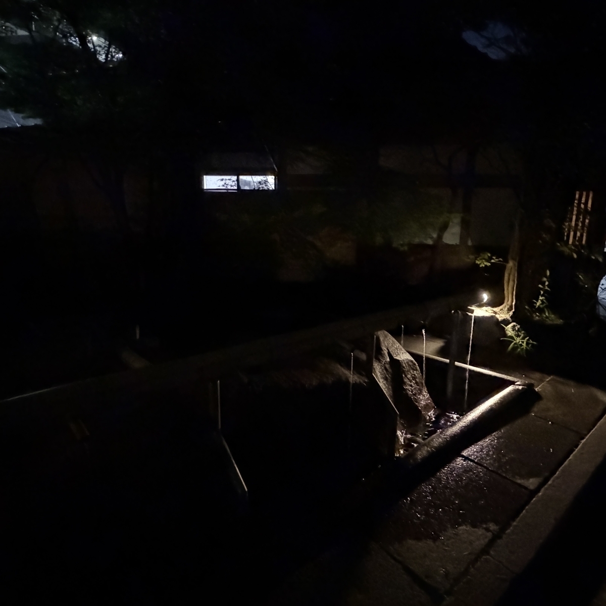 安井金比羅宮の金丸灯籠(夜)