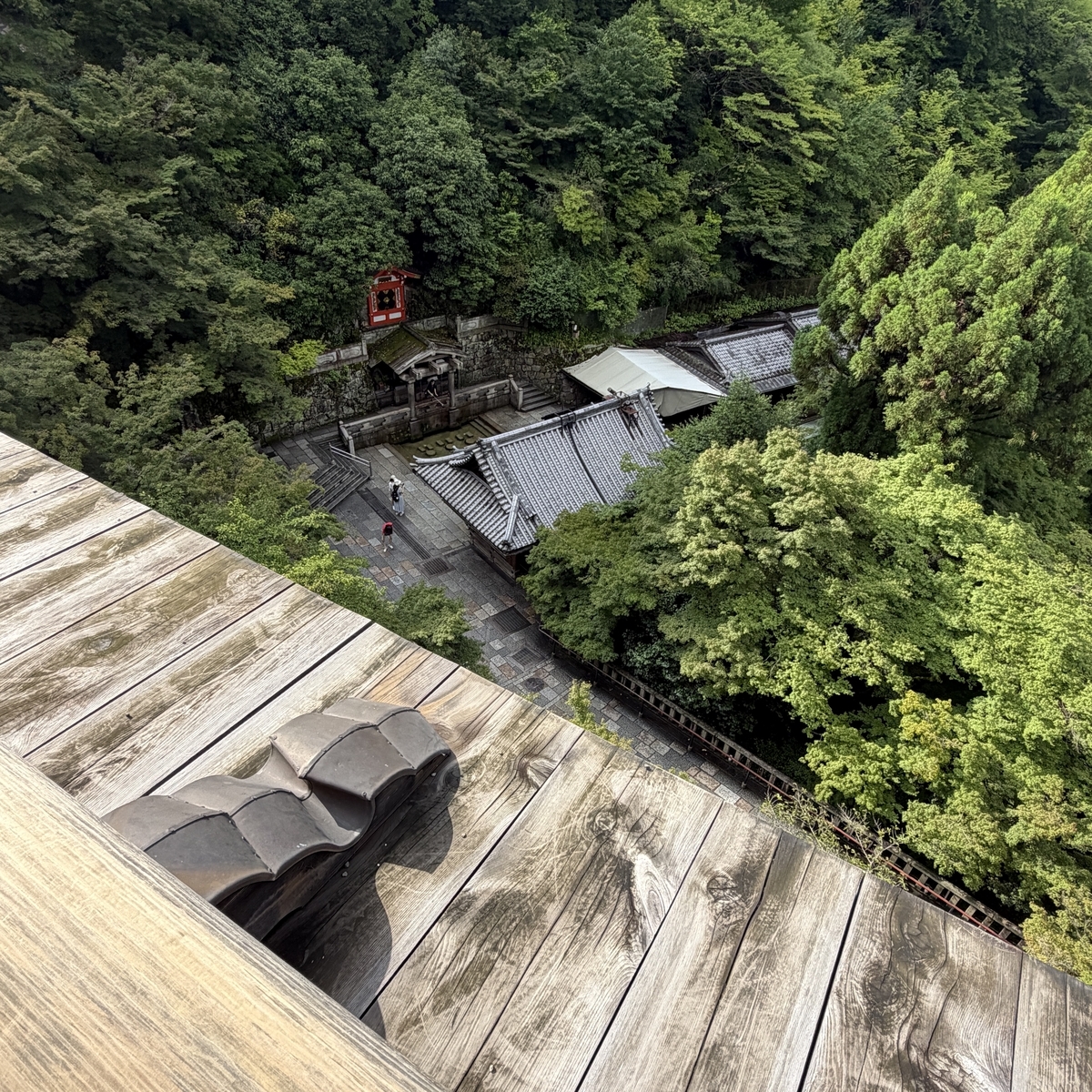 清水の舞台から見える緑の中の三重塔