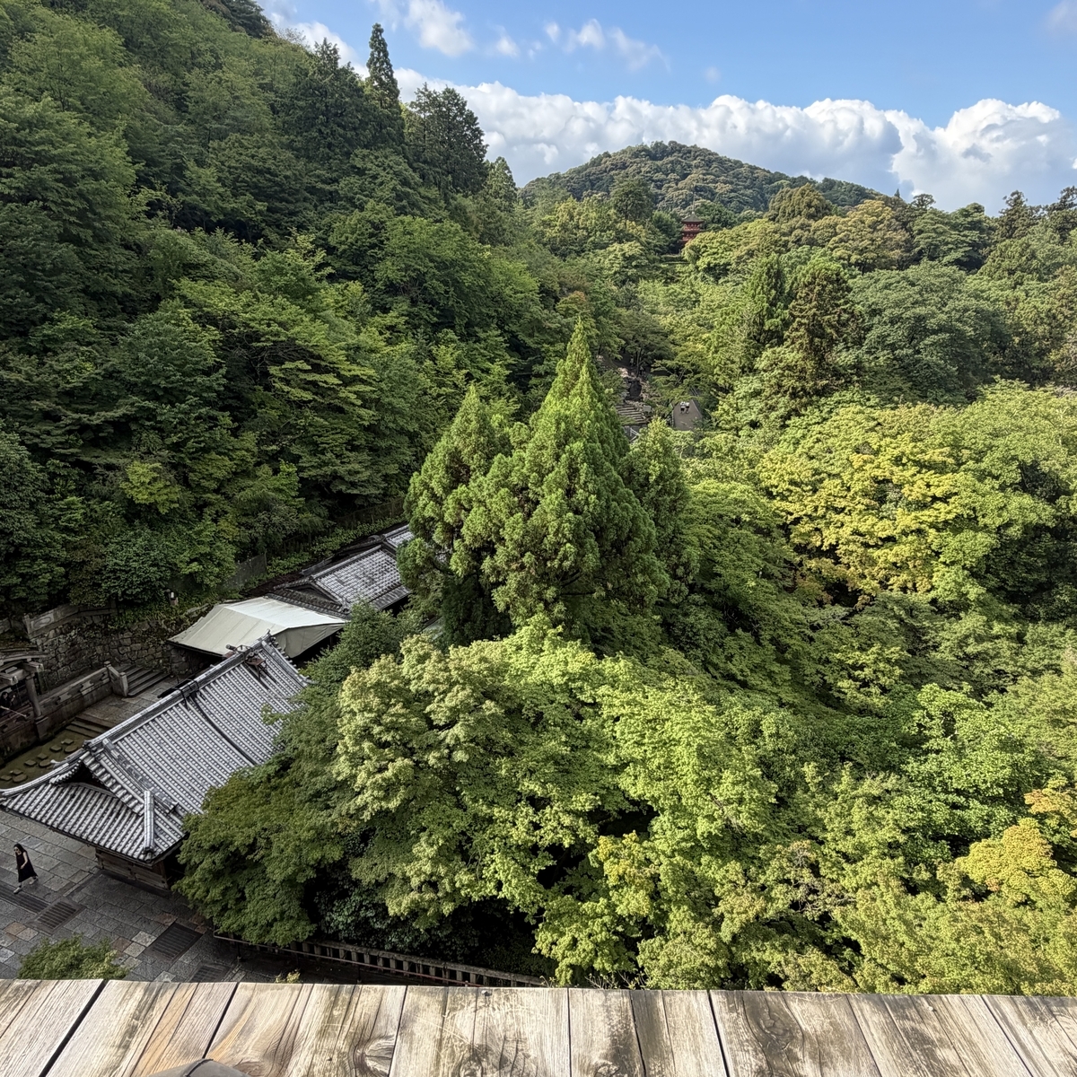 清水の舞台の手すりをゆっくりなでる