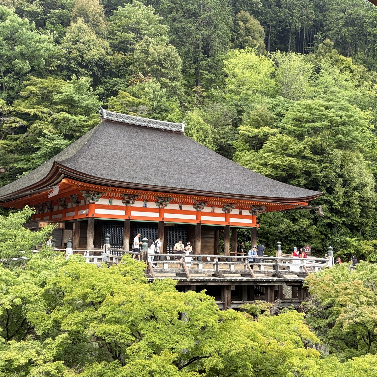 奥の院へ向かう参道からの眺め