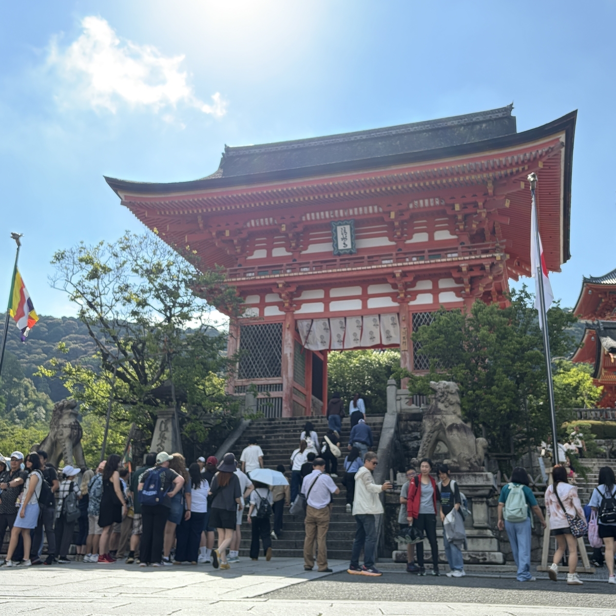 清水寺入口 7時45分には人で埋め尽くされる