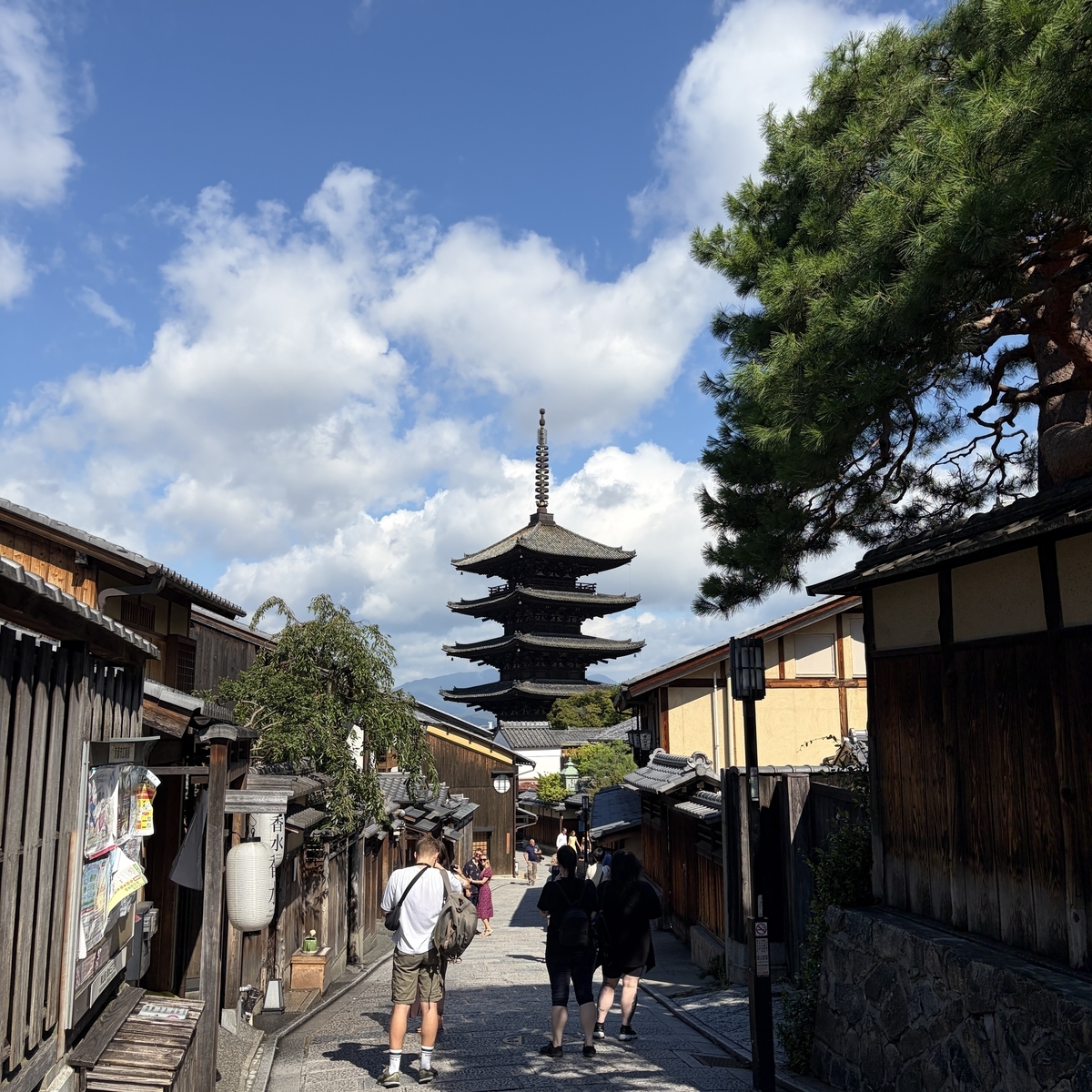 定番撮影スポットの少し上から八坂の塔に近づきながら撮影した写真