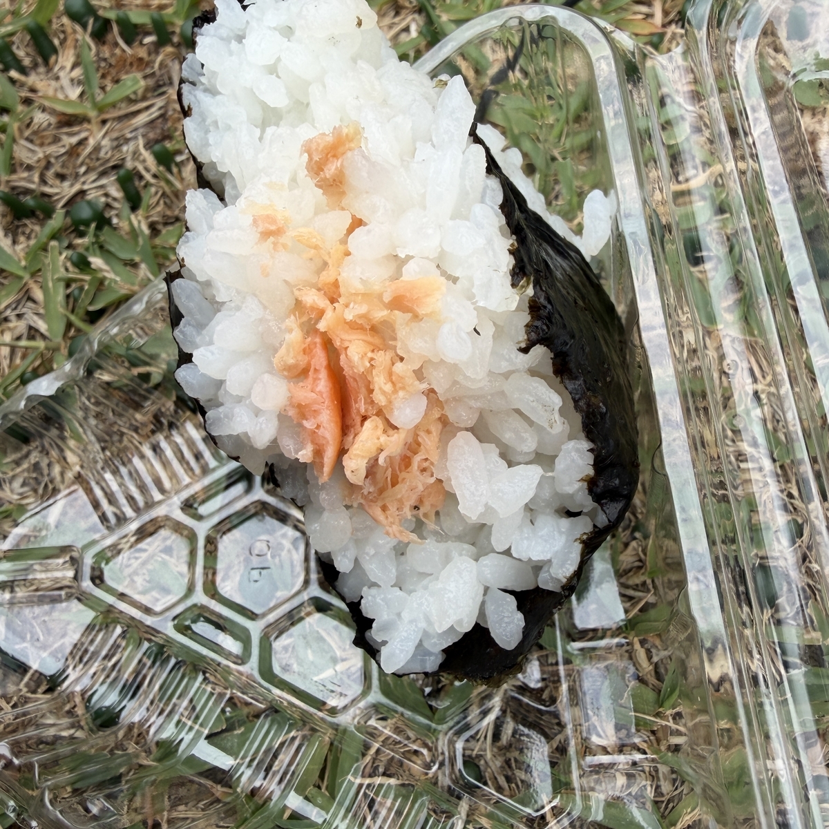 ほぐし鮭のおにぎりを容器に入れたまま鴨川岸の芝生に置いた写真