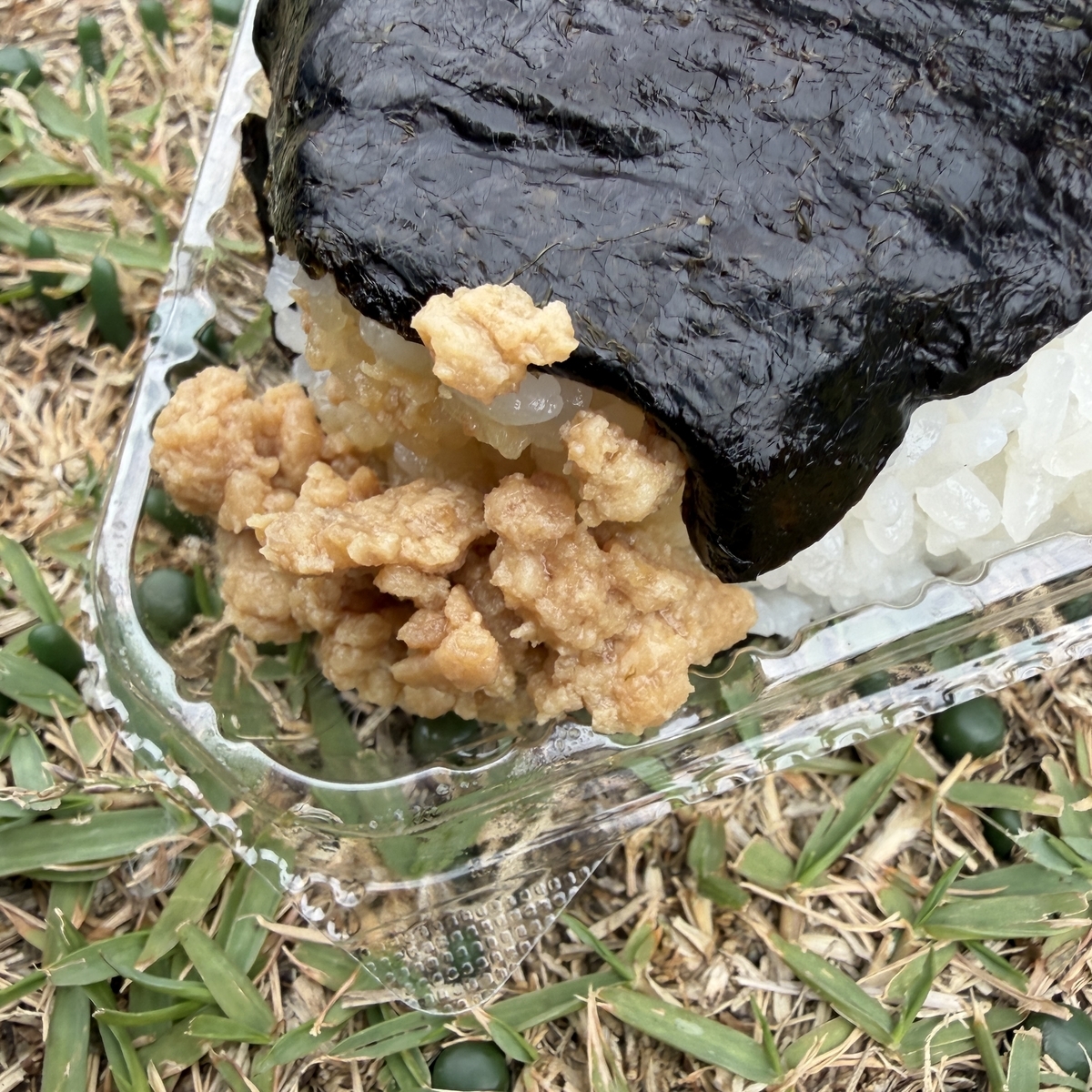 鶏そぼろのおにぎりを鴨川岸で食べている途中の写真