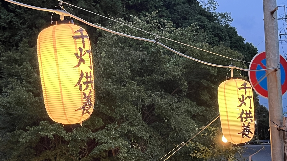 「千灯供養」と書かれた提灯が木々の間に灯る
