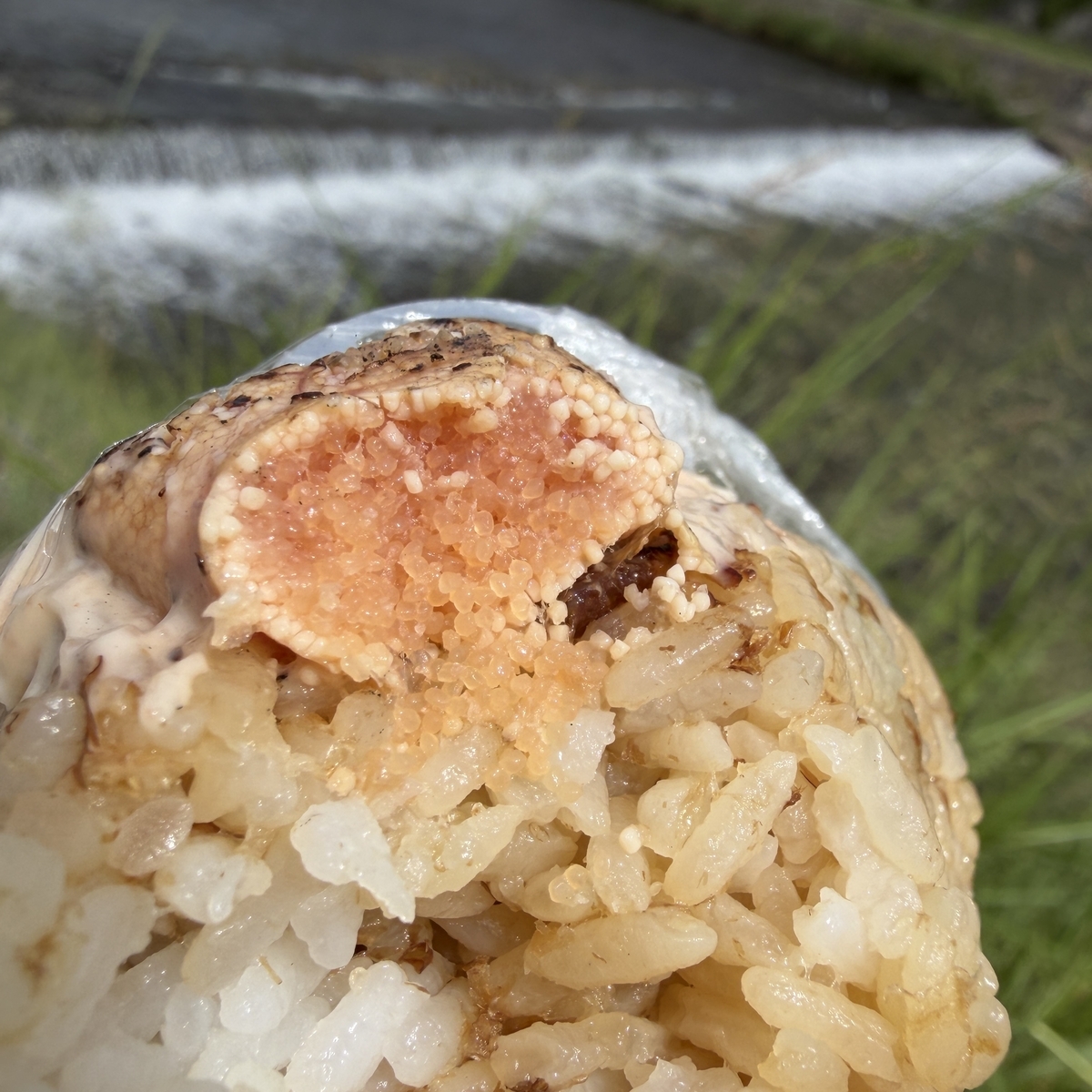表面カリカリの炙りたらこ焼きむすびの断面