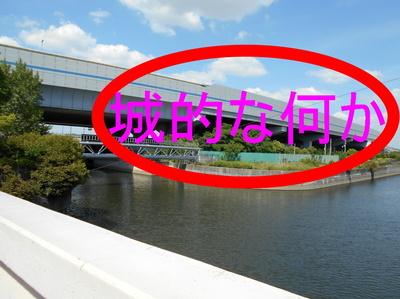 DSCN4935a.JPG