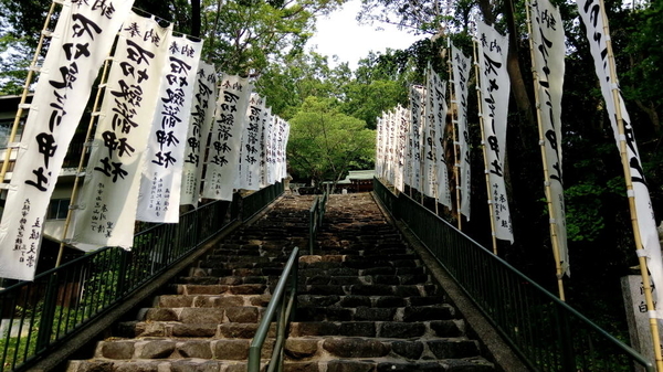 f:id:shimanchu5:20191113184326j:plain f:id:shimanchu5:20191113184326j:plain