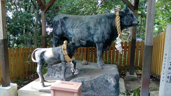 f:id:shimanchu5:20191113184406j:plain f:id:shimanchu5:20191113184406j:plain