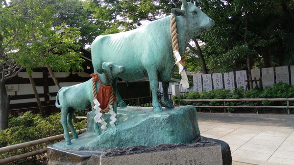 f:id:shimanchu5:20191113184411j:plain f:id:shimanchu5:20191113184411j:plain