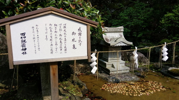 f:id:shimanchu5:20191113184510j:plain f:id:shimanchu5:20191113184510j:plain