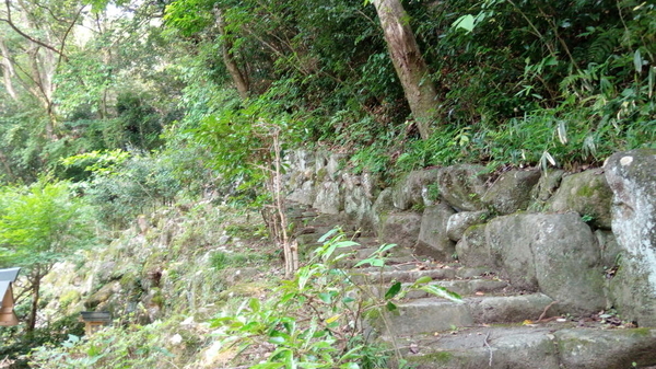 f:id:shimanchu5:20191113184618j:plain f:id:shimanchu5:20191113184618j:plain