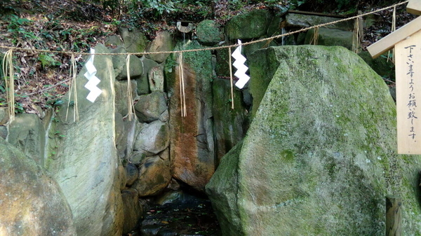 f:id:shimanchu5:20191113201918j:plain f:id:shimanchu5:20191113201918j:plain