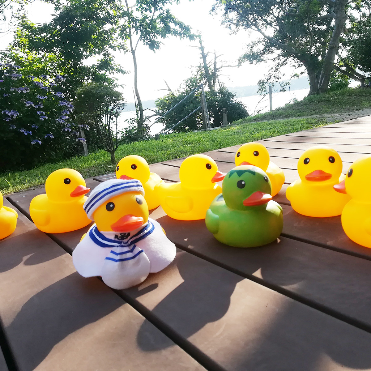 f:id:shimania-labo:20190724105137j:plain f:id:shimania-labo:20190724105137j:plain