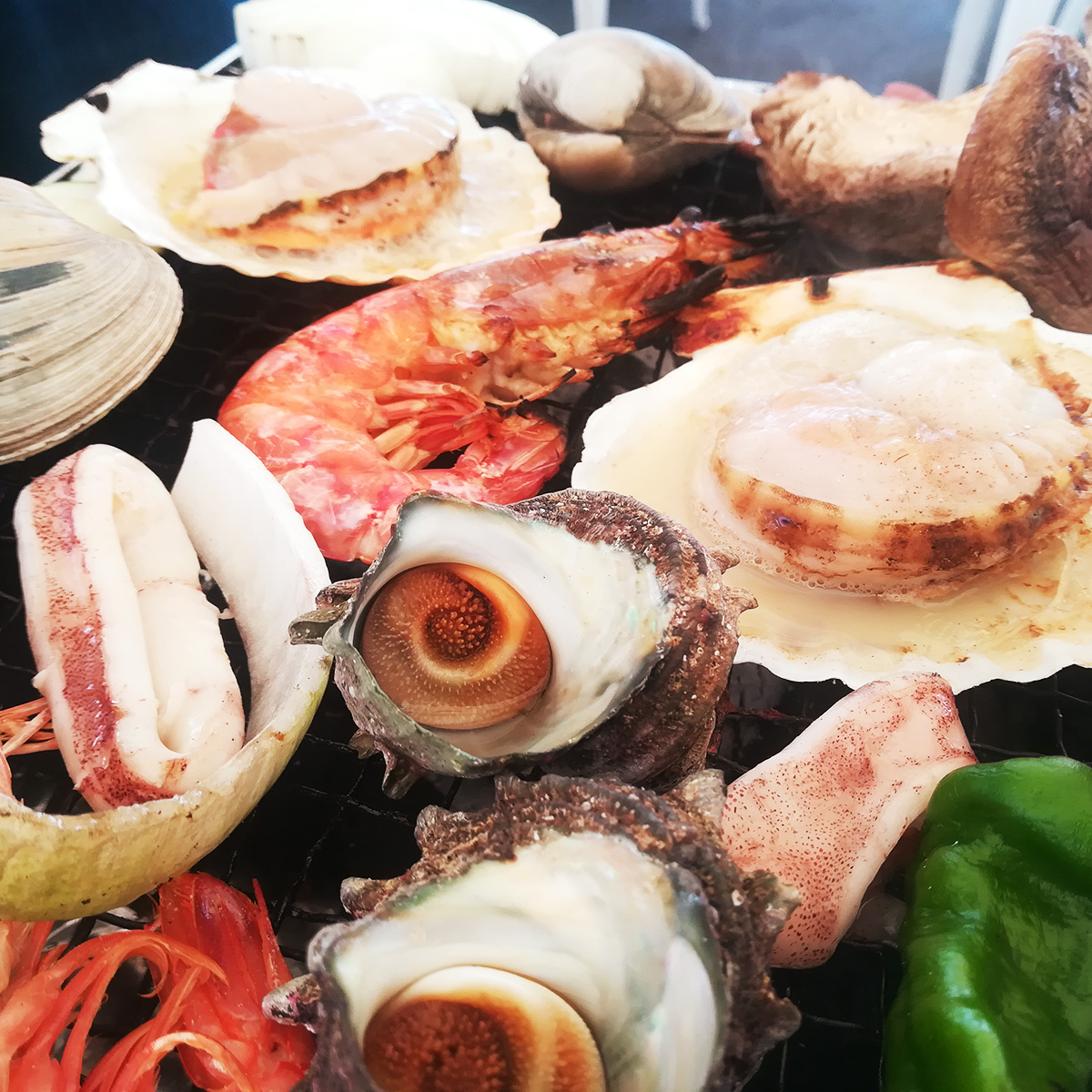 f:id:shimania-labo:20190726105129j:plain f:id:shimania-labo:20190726105129j:plain