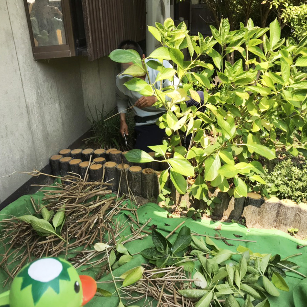 f:id:shimania-labo:20190730125652j:plain f:id:shimania-labo:20190730125652j:plain