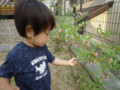 20120726171447