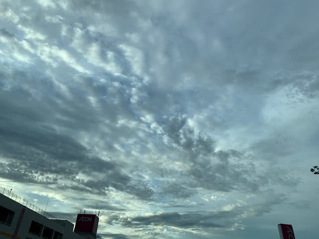 現場は - 緑の庭をながめながら・しましまの毎日
