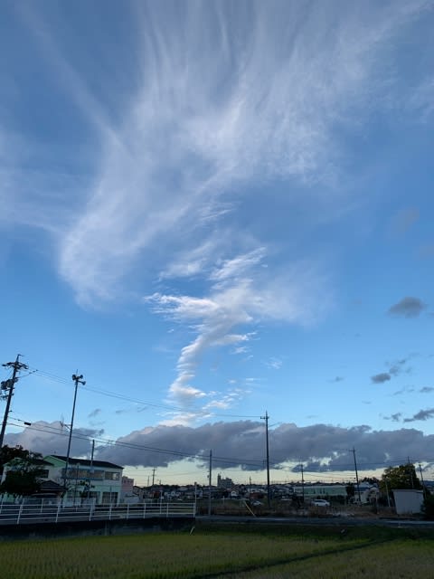 龍の雲 - 緑の庭をながめながら・しましまの毎日