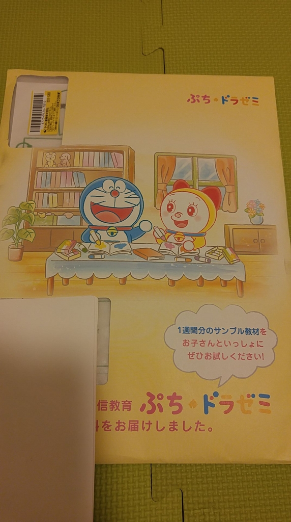 【美品、書き込み無し】 ドラゼミ 小学6年生　一年分２４冊 美品、書き込み無し】 ドラゼミ 小学6年生 一年分24冊（薬理の