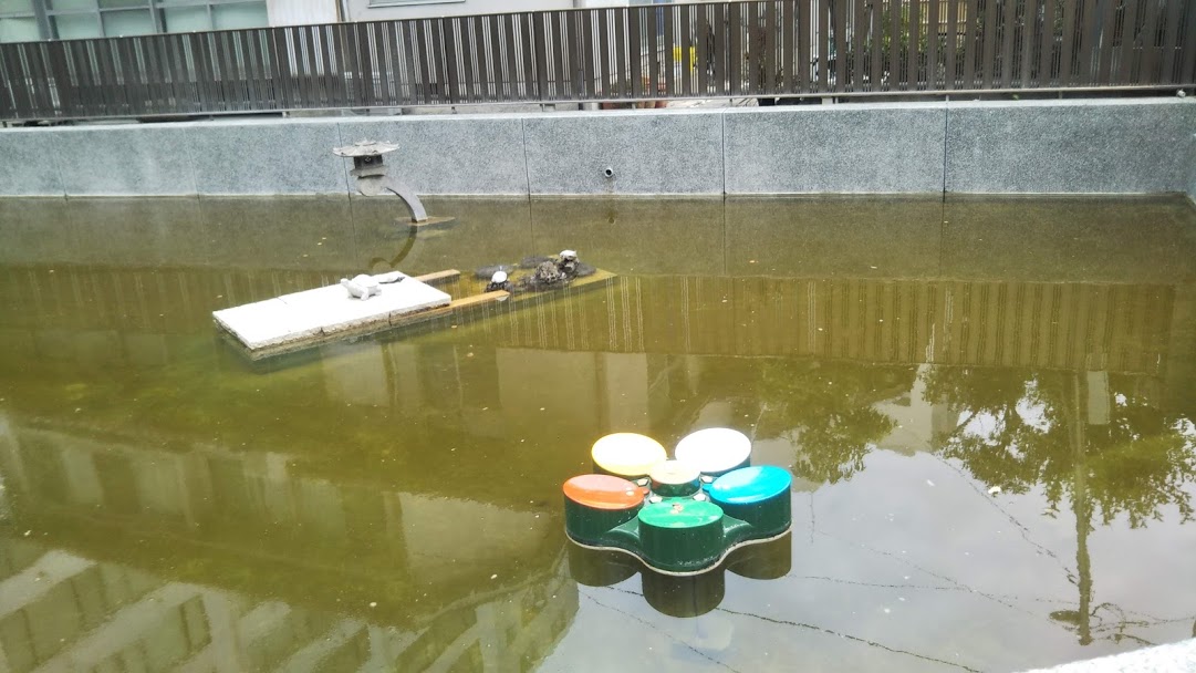 f:id:shimausj:20190710122022j:plain f:id:shimausj:20190710122022j:plain