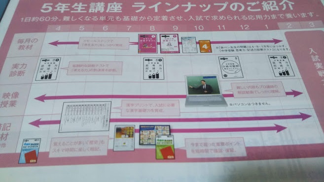 スタンダード・ハイレベルどちらにしよう？～進研ゼミ【考える力