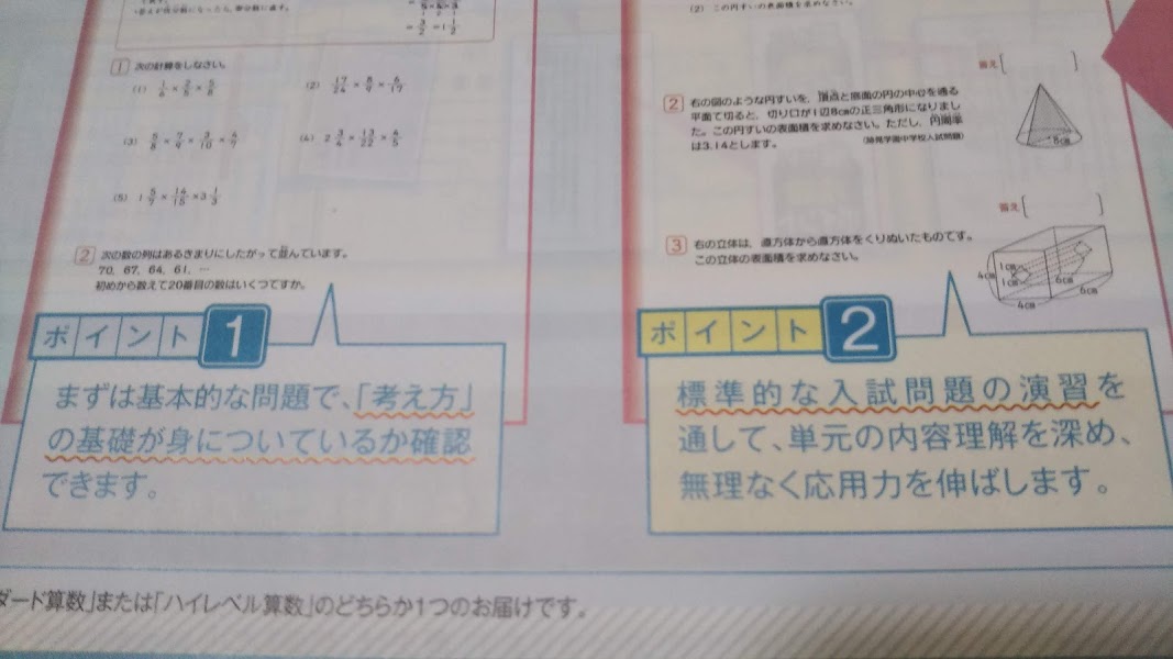 スタンダード・ハイレベルどちらにしよう？～進研ゼミ【考える力