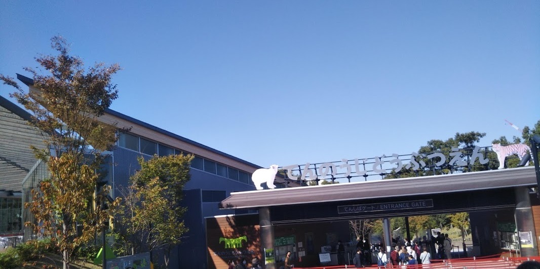 f:id:shimausj:20201029105905j:plain f:id:shimausj:20201029105905j:plain